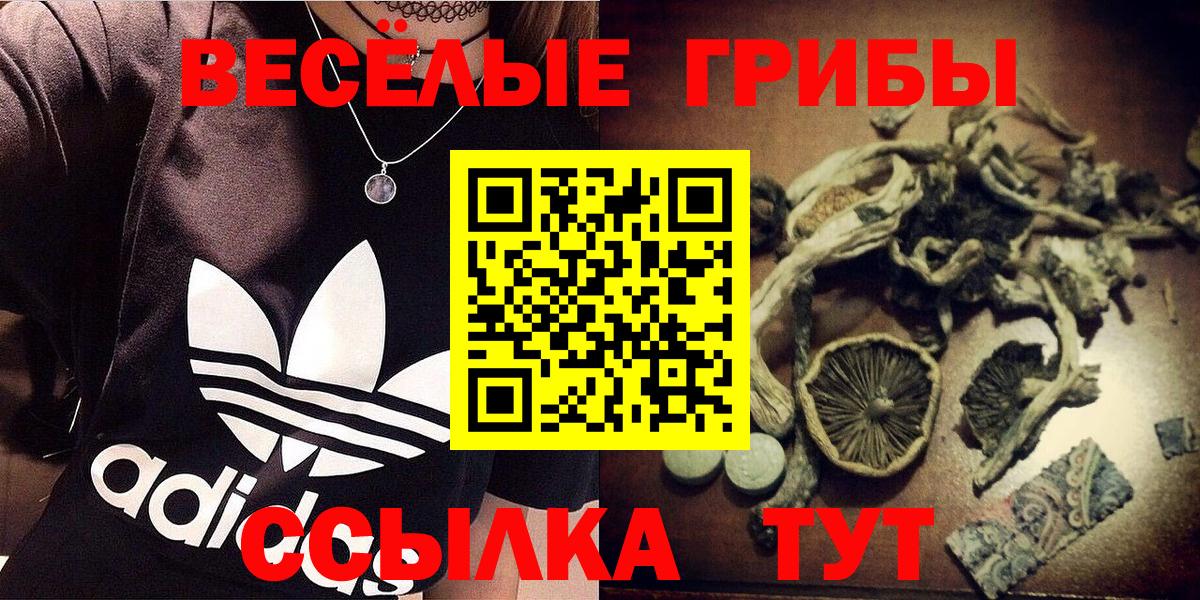 Псилоцибиновые грибы GOLDEN TEACHER  Вход с VPN  Белово 